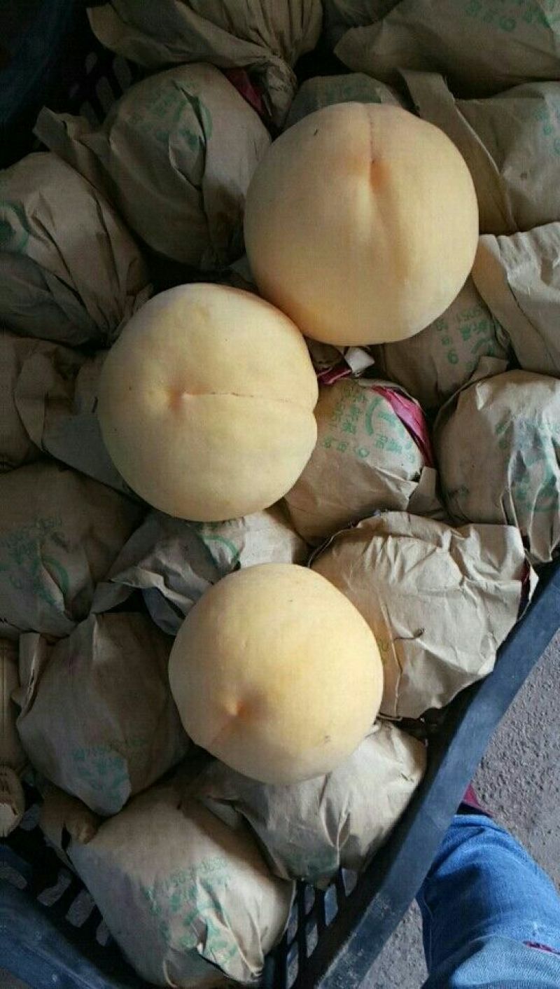 黄桃4两以上