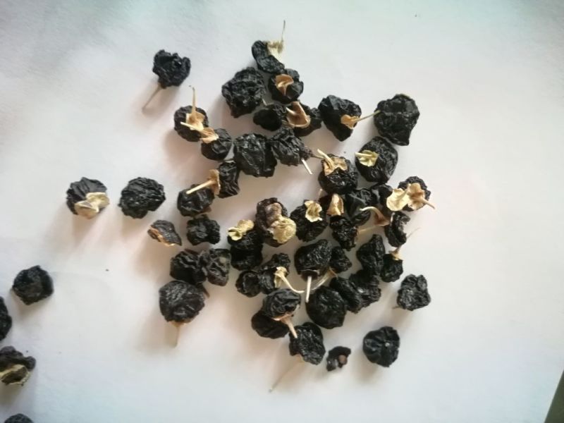 黑枸杞干货头茬