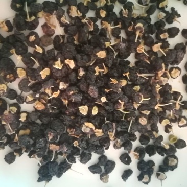 黑枸杞干货头茬