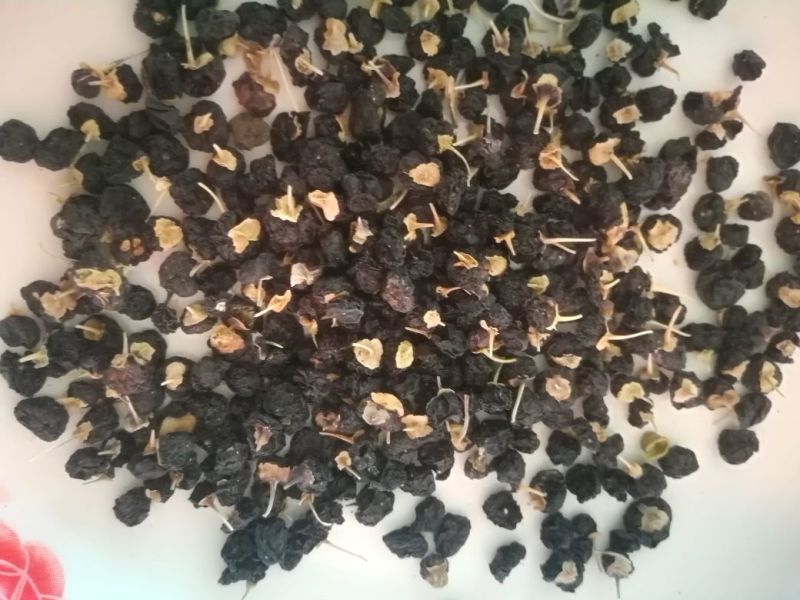 黑枸杞干货头茬