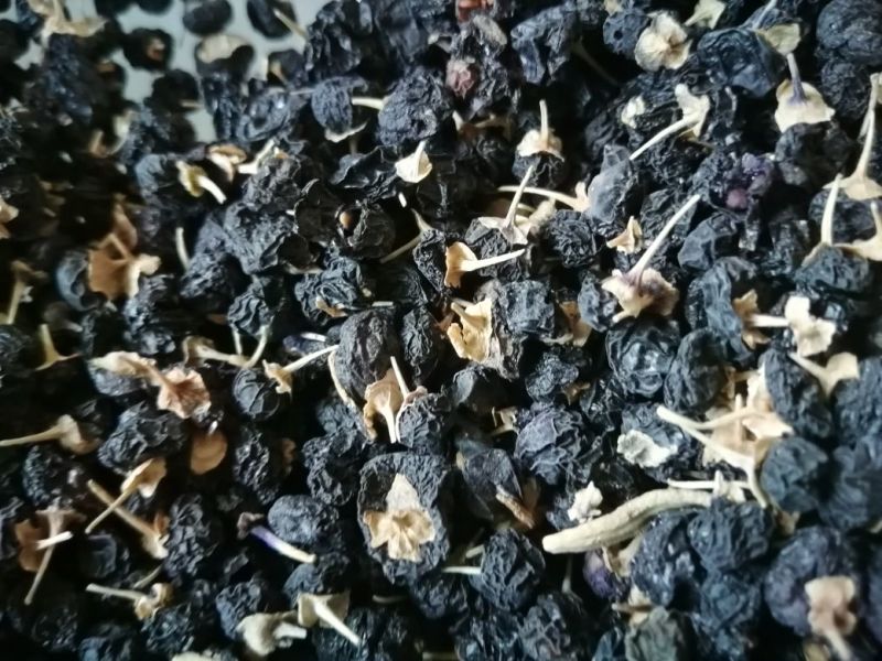 黑枸杞干货头茬