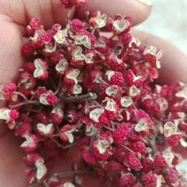 大红袍花椒一级干