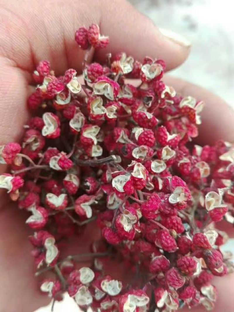 大红袍花椒一级干
