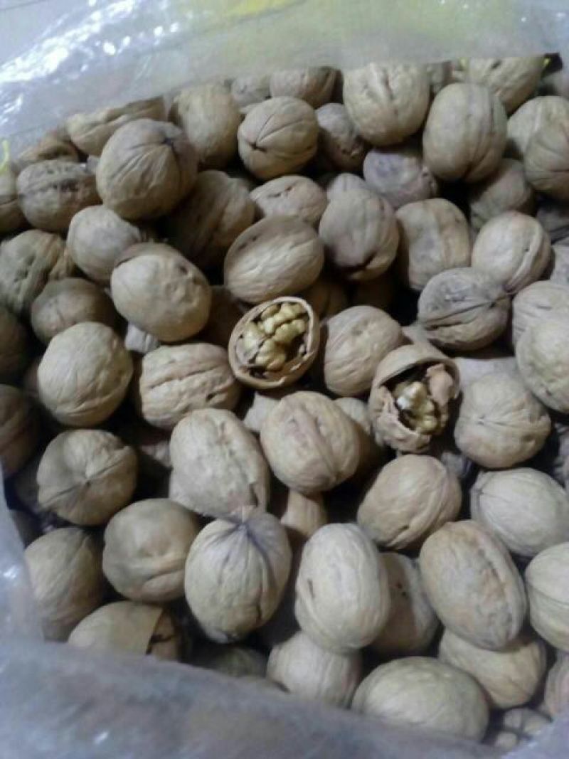 薄皮核桃去皮35mm以上干规格品种齐全高质量产地直