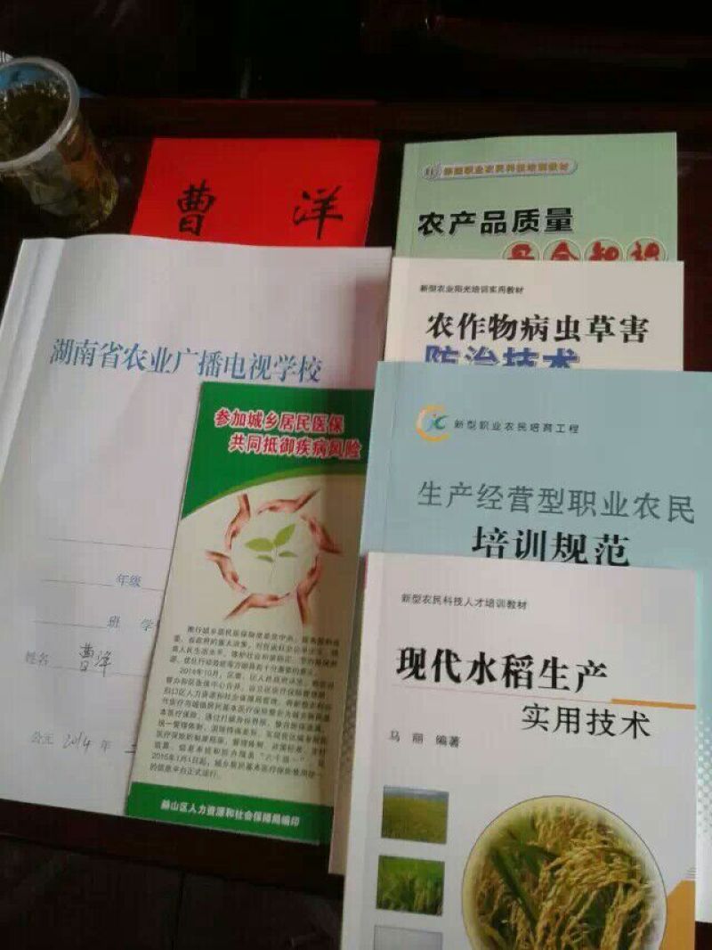 黄花粘大米不抛光打蜡口感光滑香软好蒸好煮米香味清淡
