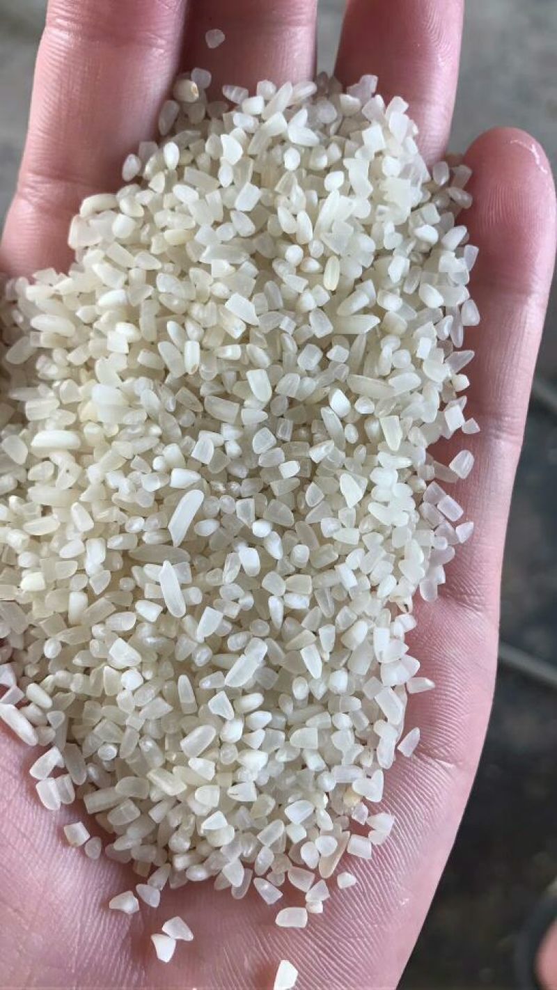 抛光碎米抛光碎：适应做食品，煮粥，食品，做酒做饲料等