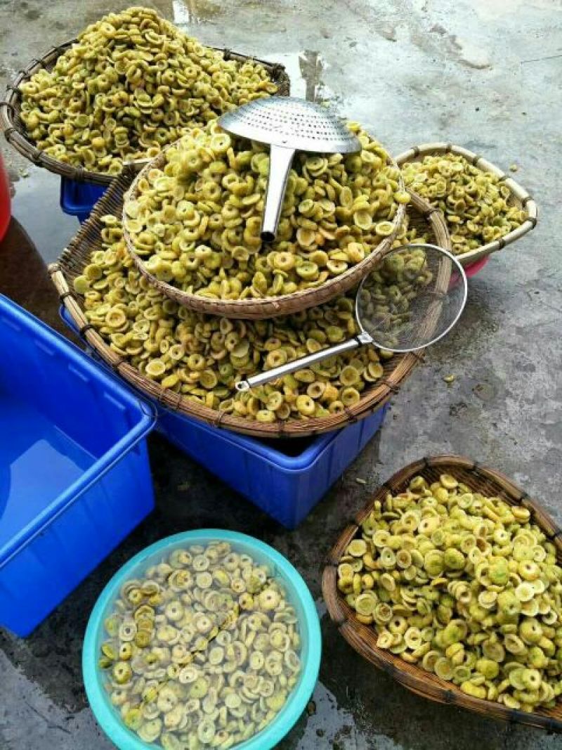 刺梨维C之王