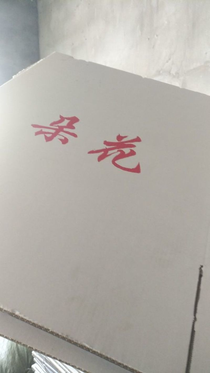 菊花茶一级