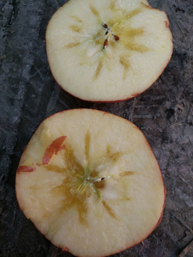 阿克苏苹果80mm以上光果，冰糖心苹果甜如蜜，