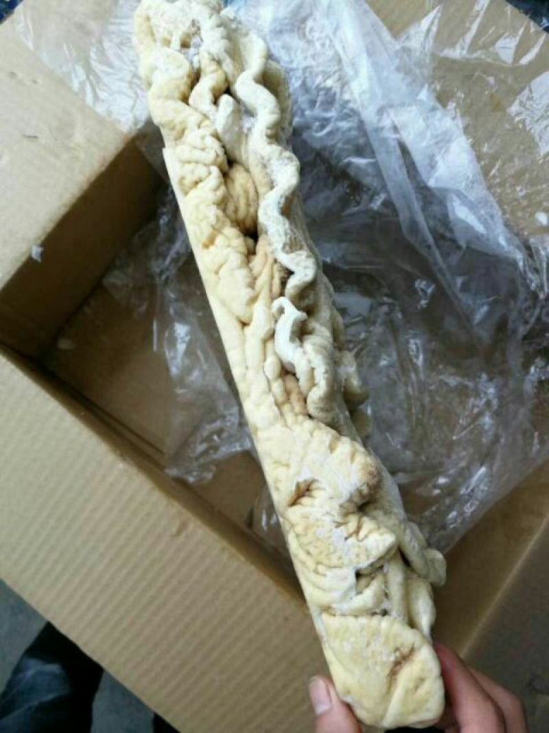猪大肠