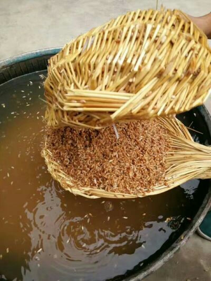 小麦粉袋装