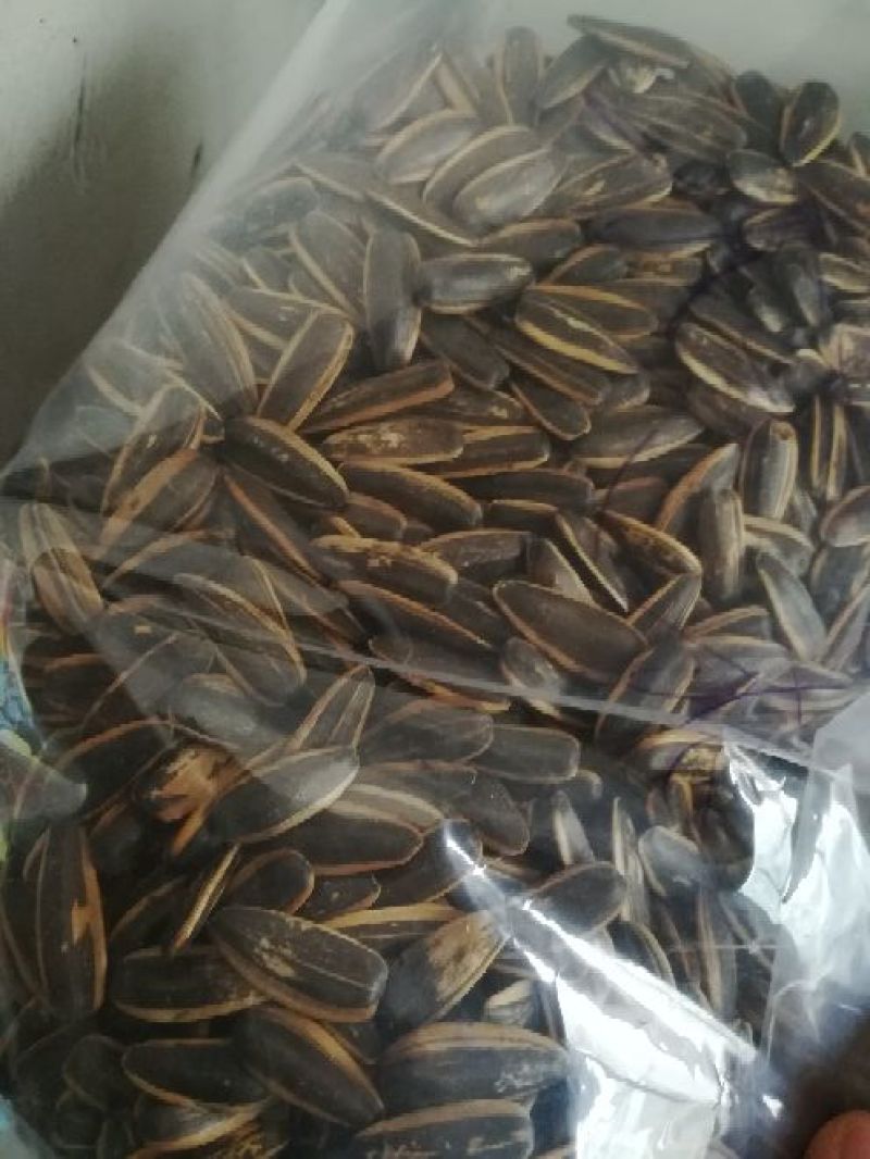 葵花籽散装熟