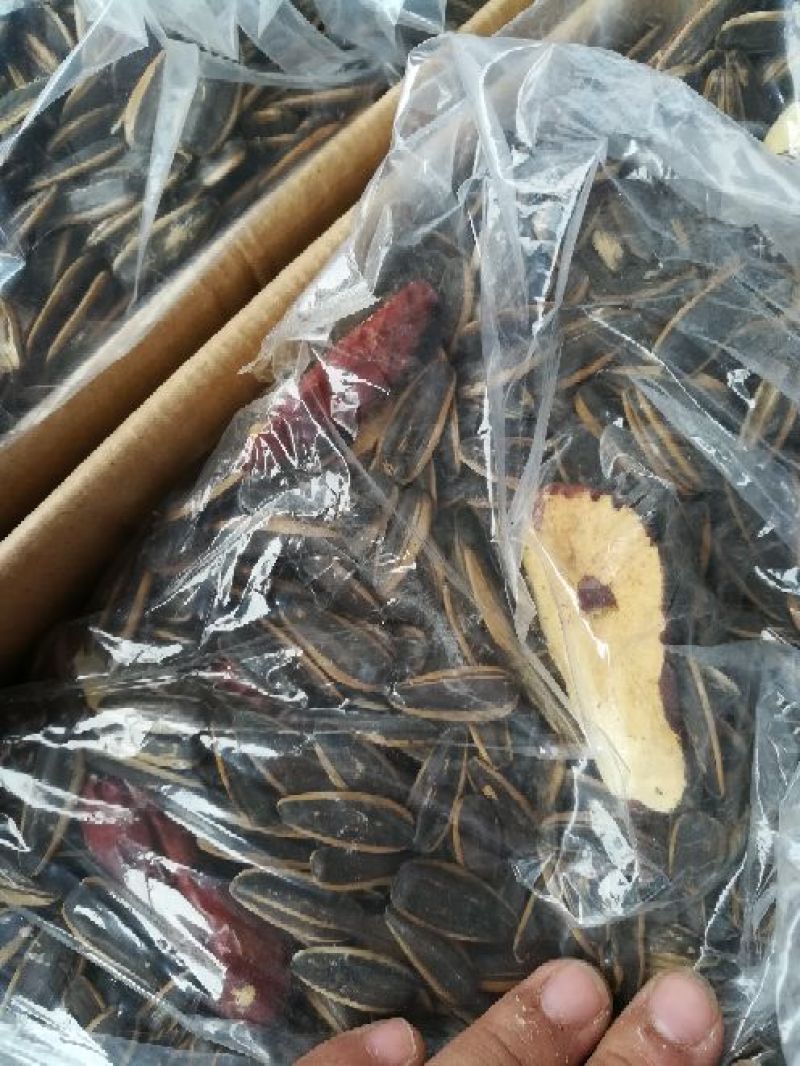 葵花籽散装熟