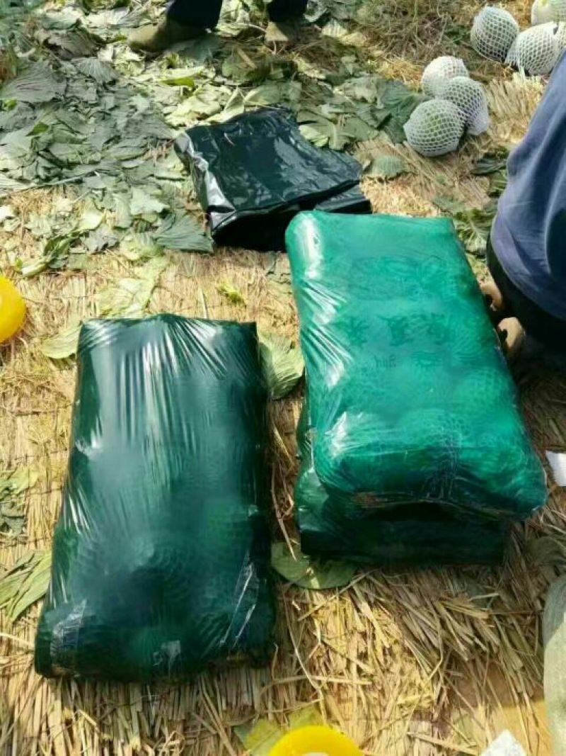 圆包菜，甘蓝1~2公斤精品，特价保证质量！