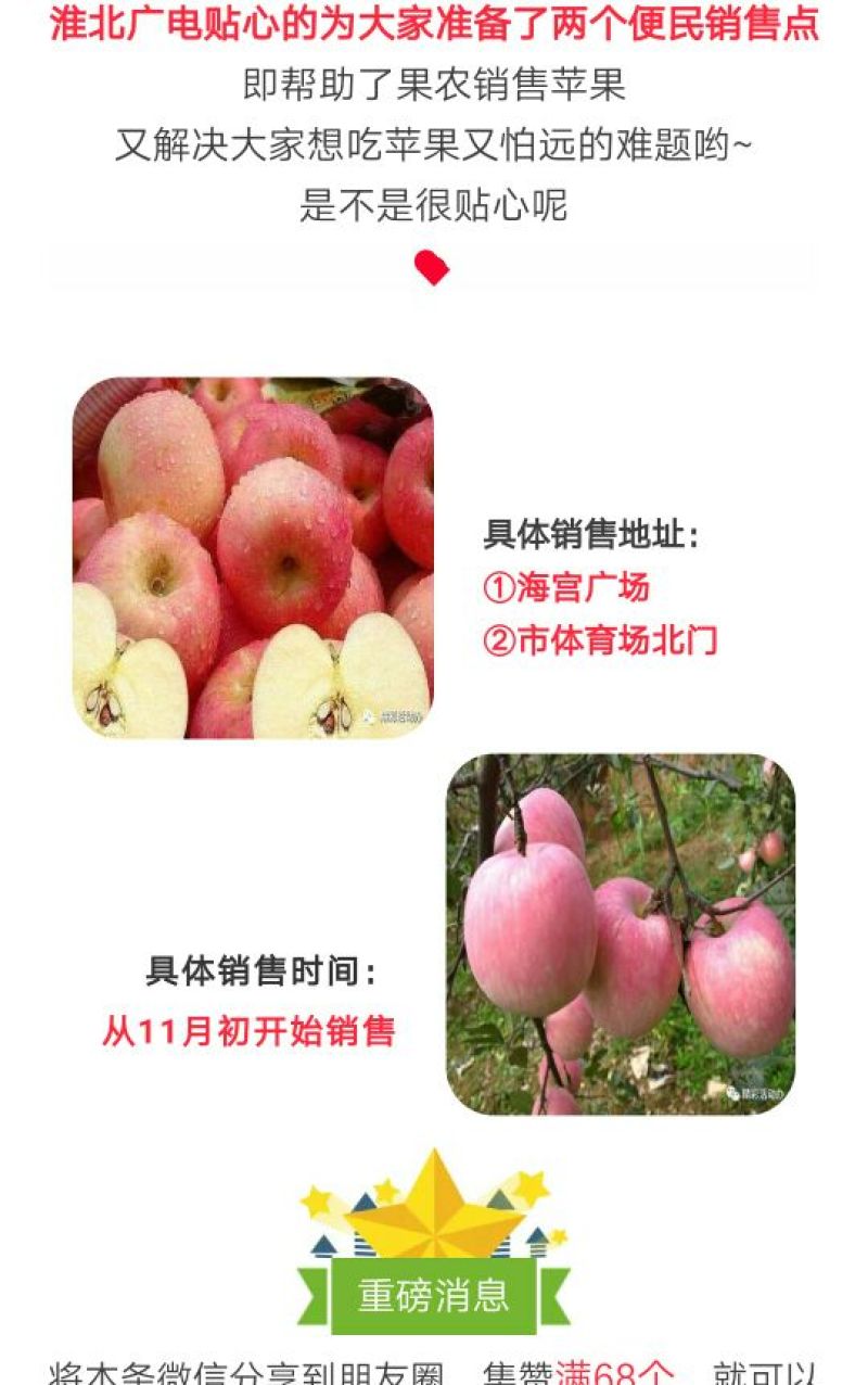 红富士苹果70mm以上膜袋