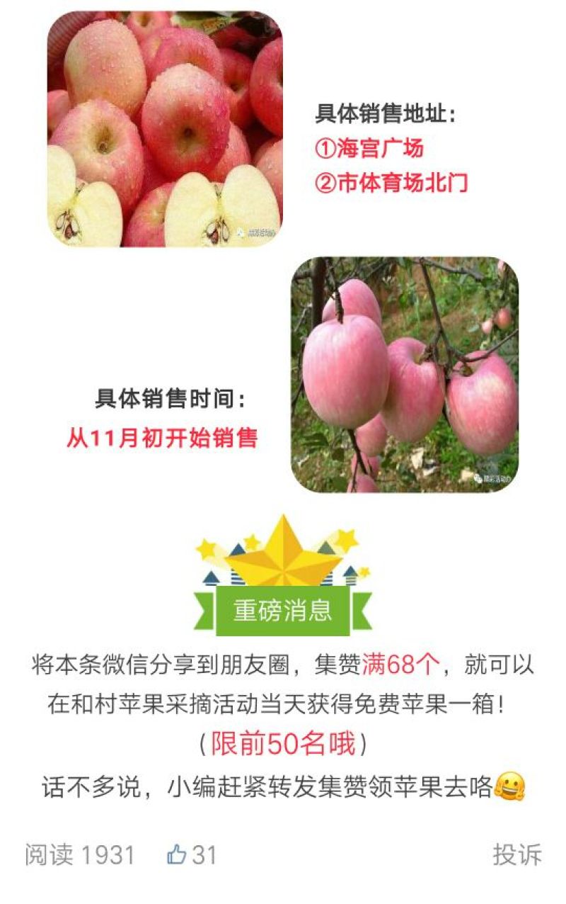 红富士苹果70mm以上膜袋