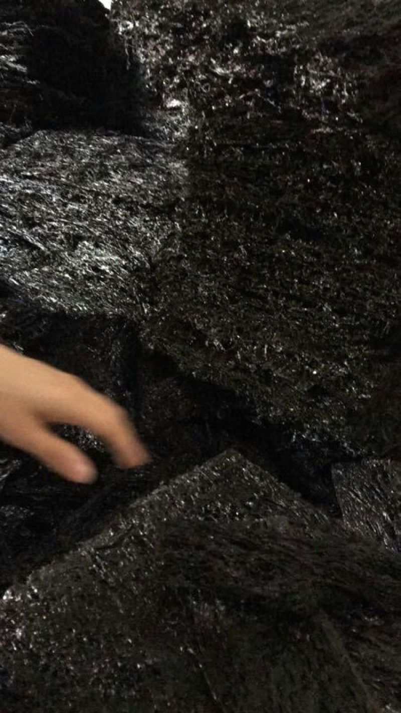 霞浦紫菜人工养殖头水