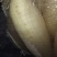 白萝卜1~1.5斤起