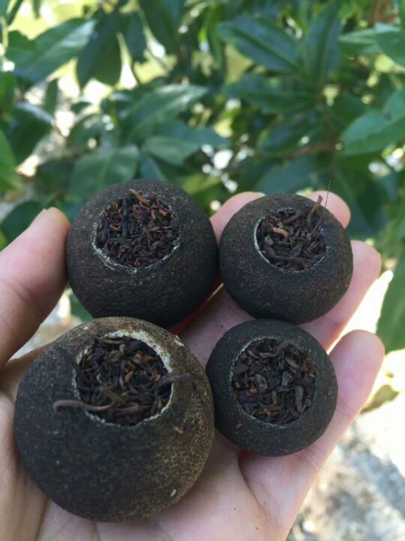 柑普茶特级