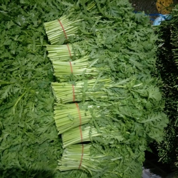 蒿子杆20~25cm