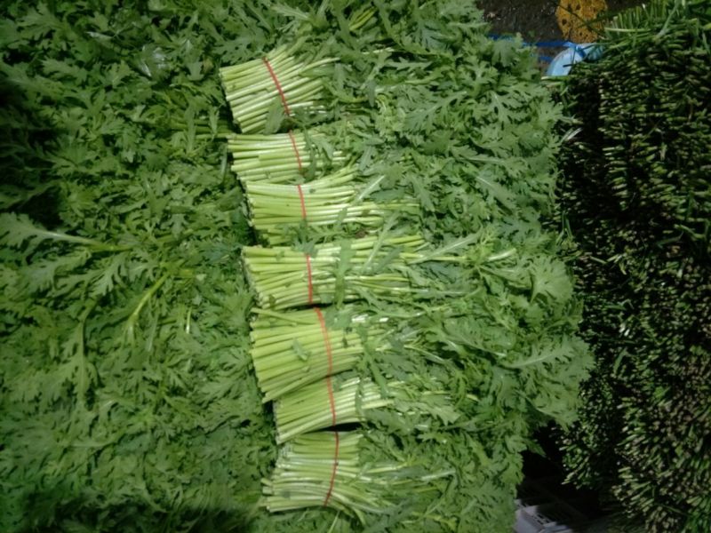 蒿子杆20~25cm