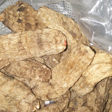 野生天麻统货