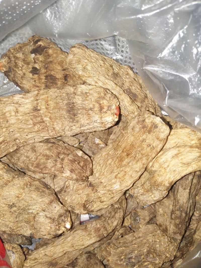 野生天麻统货