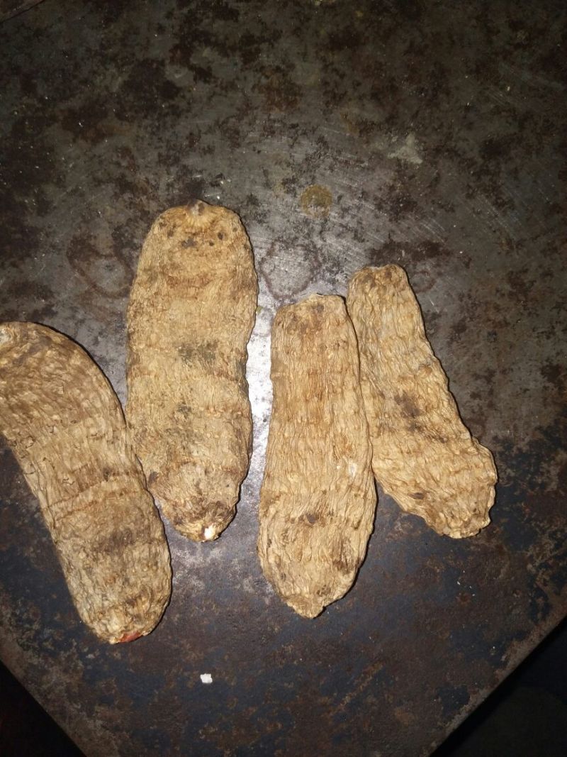 野生天麻统货