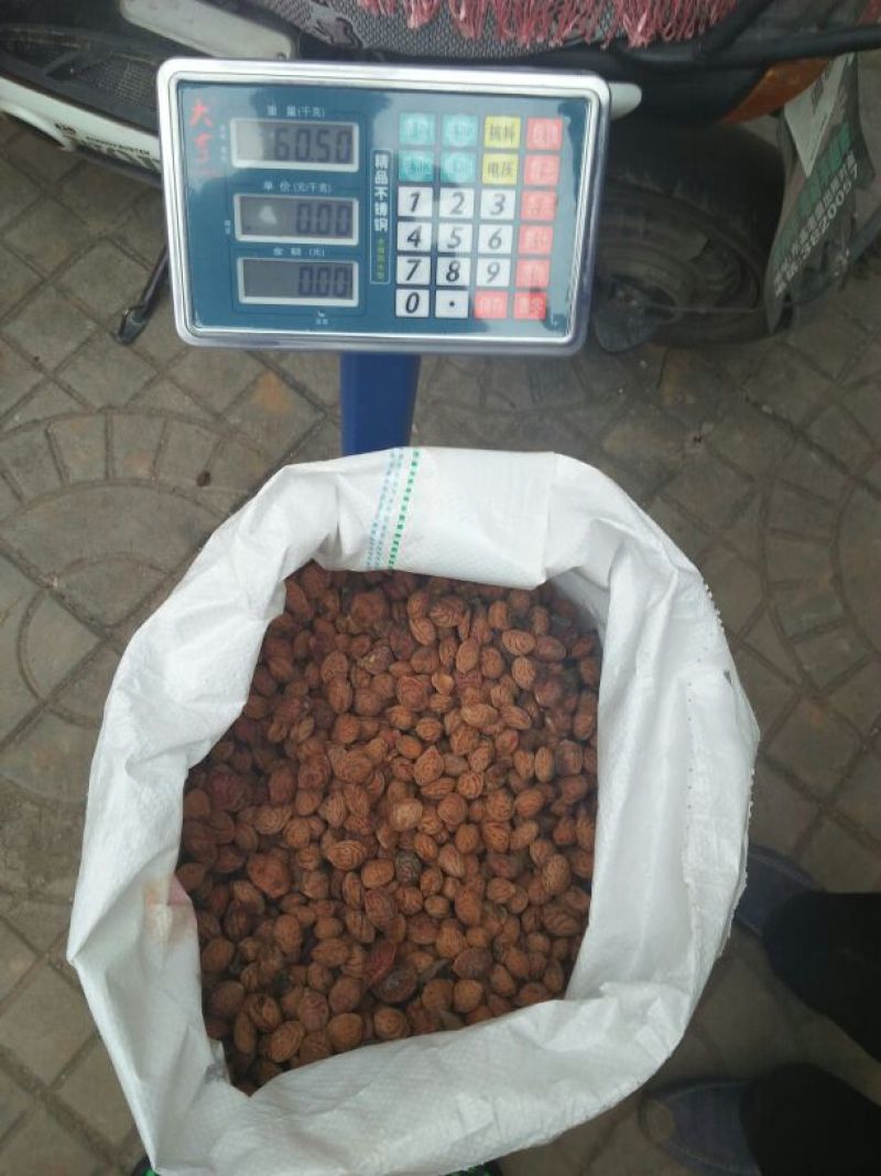 【推荐】桃核,毛桃桃核,育苗中药材，欢迎咨询