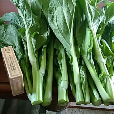 菜苔30~40厘米