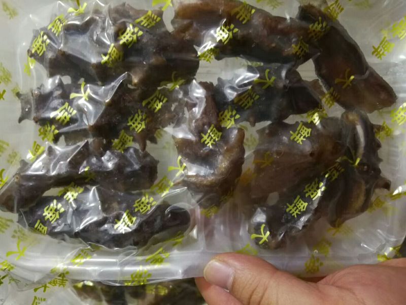 断海参食用即食大连