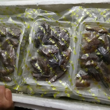 断海参食用即食大连