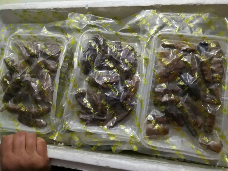 断海参食用即食大连