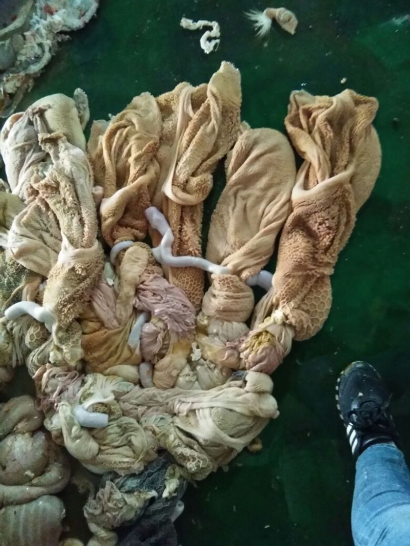 羊杂散装