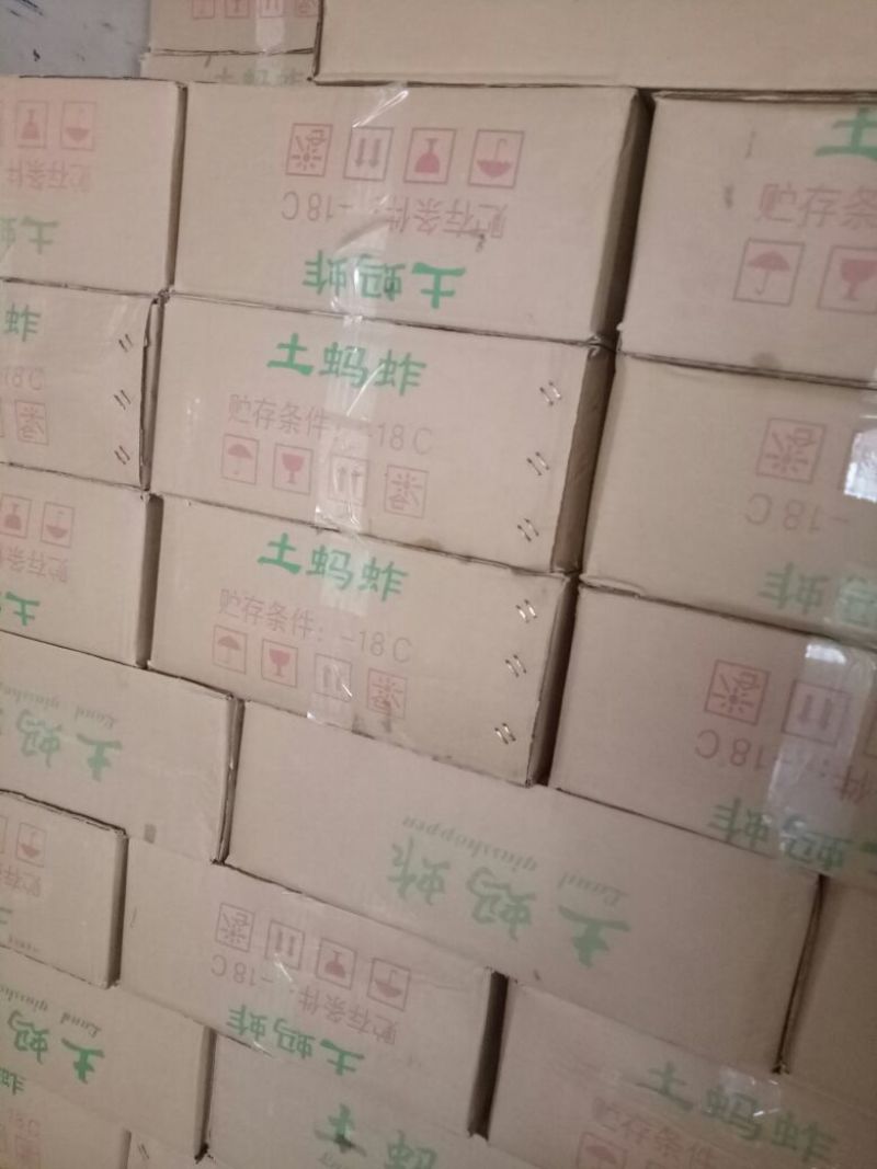 蝗虫，质量好价格低。。。。。。。。。。。