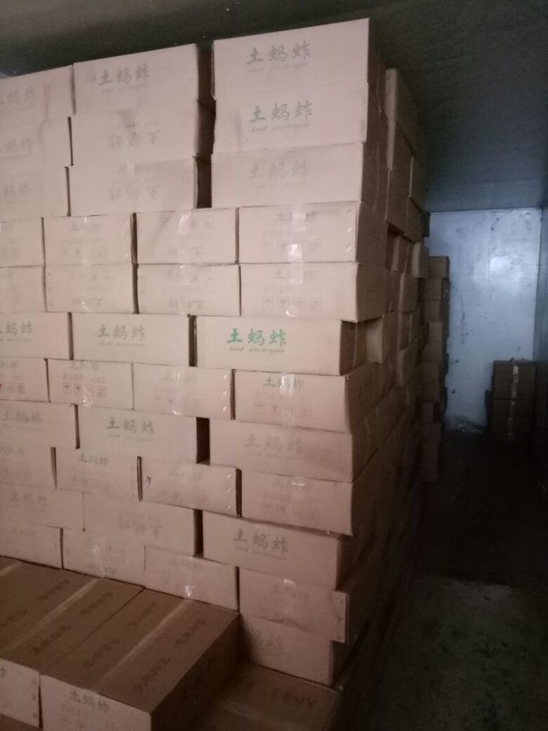 蝗虫，质量好价格低。。。。。。。。。。。