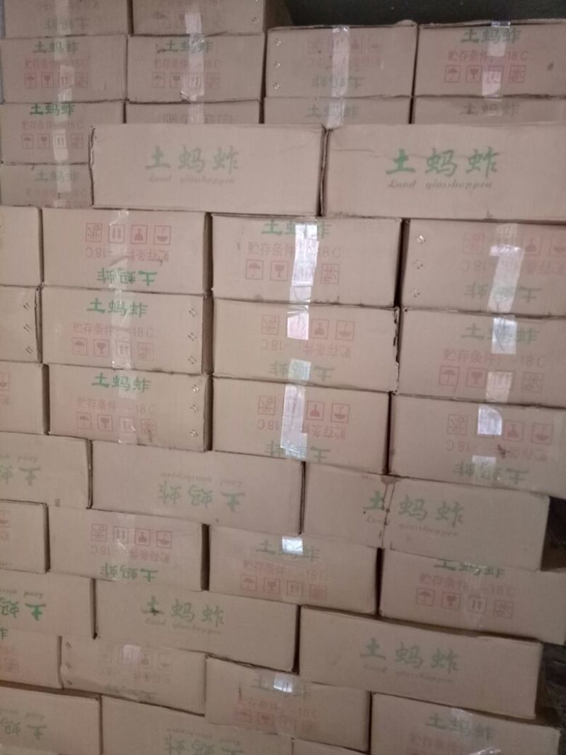 蝗虫，质量好价格低。。。。。。。。。。。
