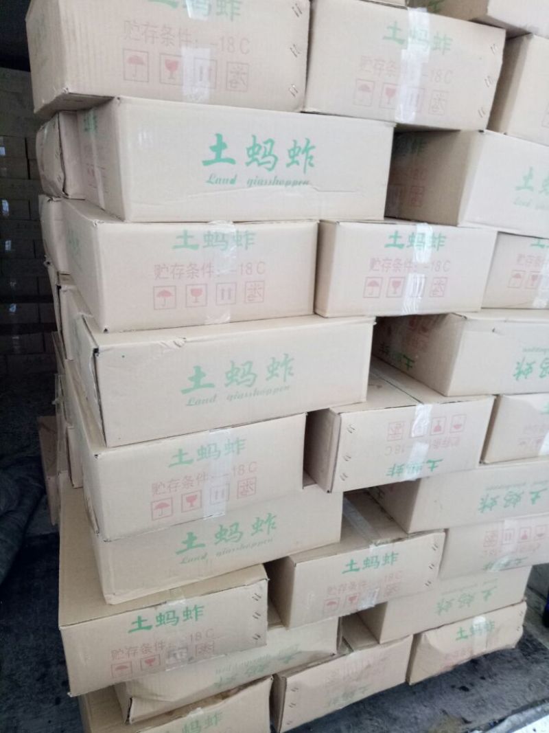 蚂蚱，质量好价格低，。。。。。。。。。。。