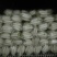 白萝卜1~1.5斤起