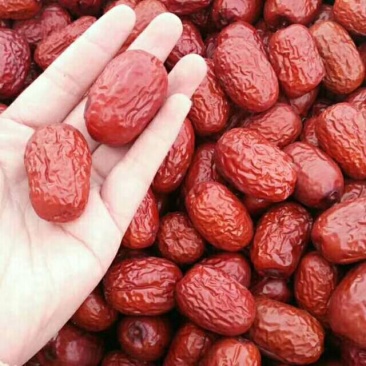 红枣特级干枣