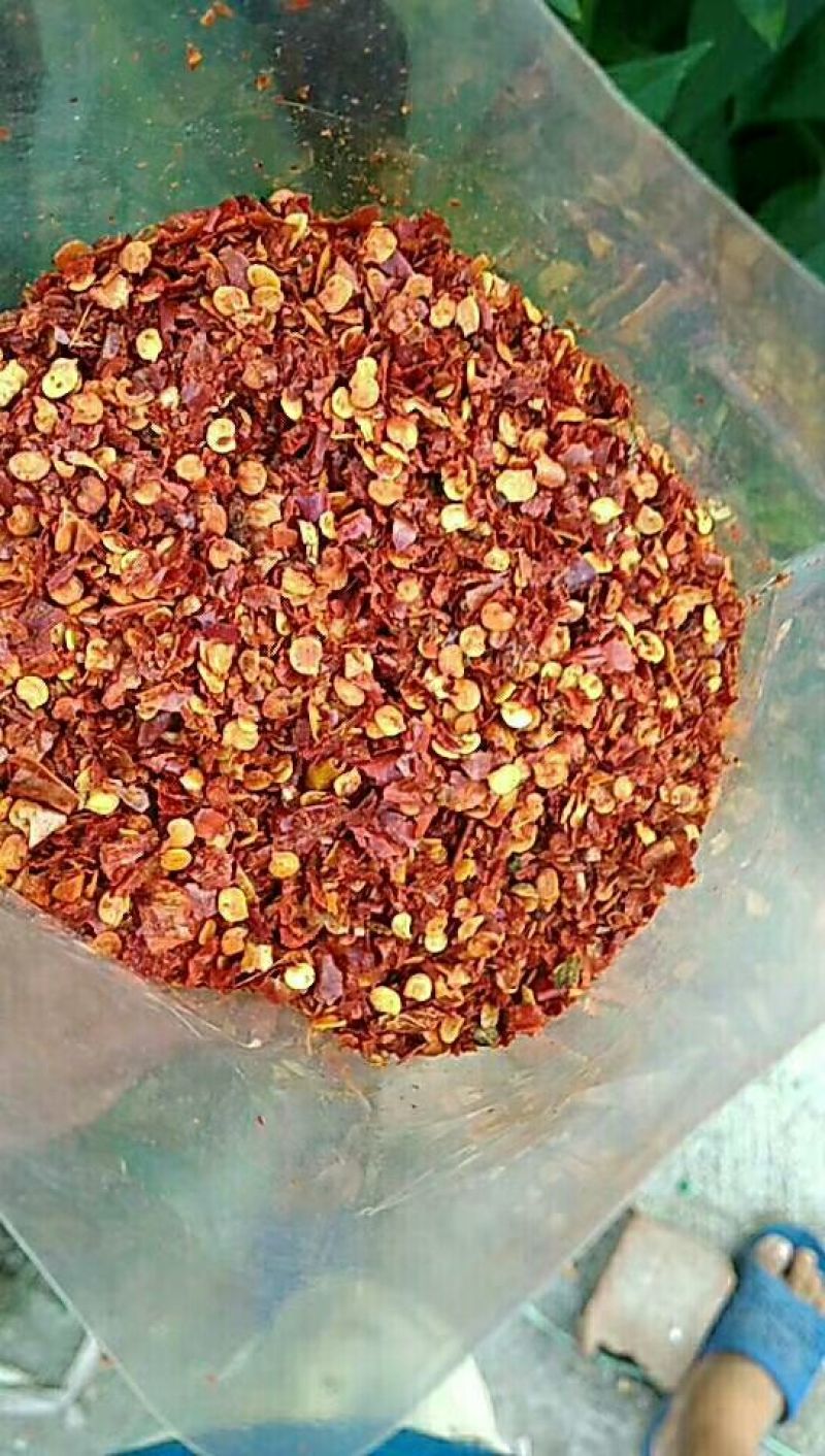 【热销爆款】辣椒面辣椒油炒面货量充足质量保证只做好辣椒