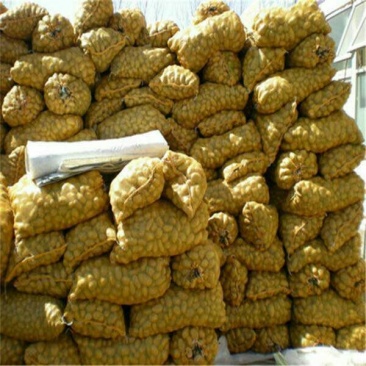 土豆通货1~3两