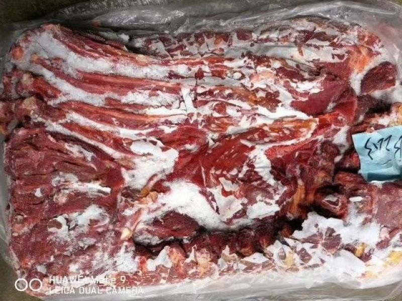 马肉冷冻