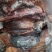 马肉冷冻