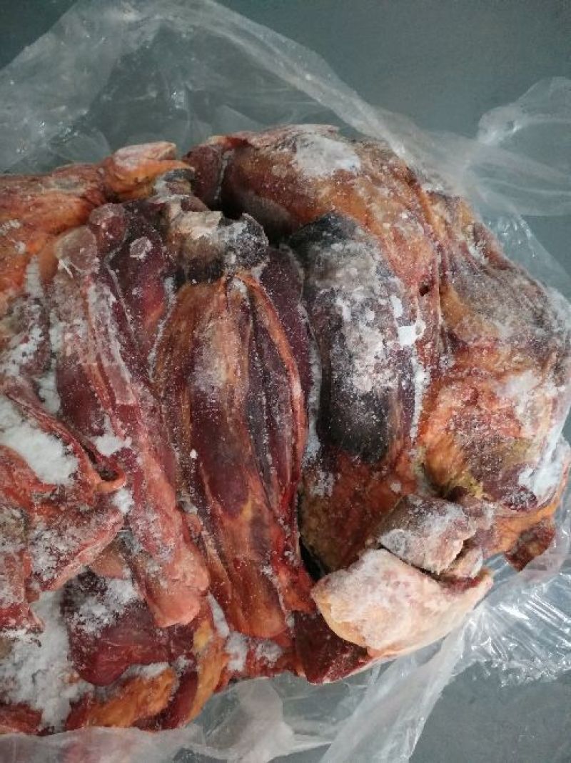 马肉冷冻