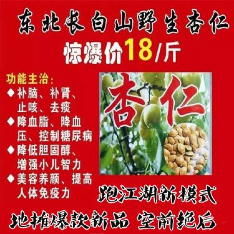 杏仁长白山野生杏仁