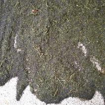 蚕砂，可做蚕砂枕，纯绿色环保