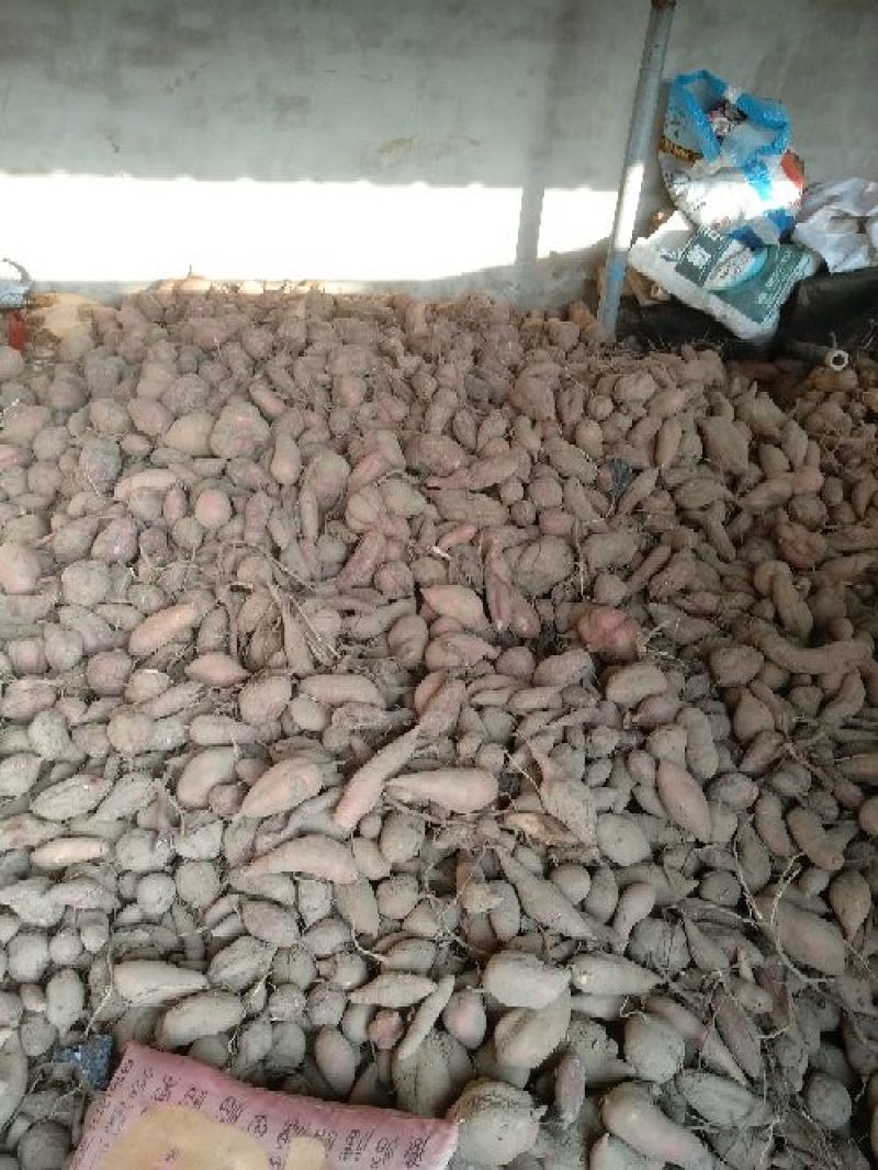 红薯淀粉散装