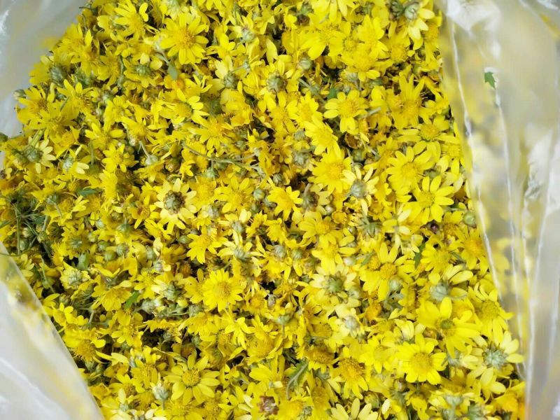 野菊花干菊花，散装