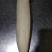 白萝卜2~2.5斤起